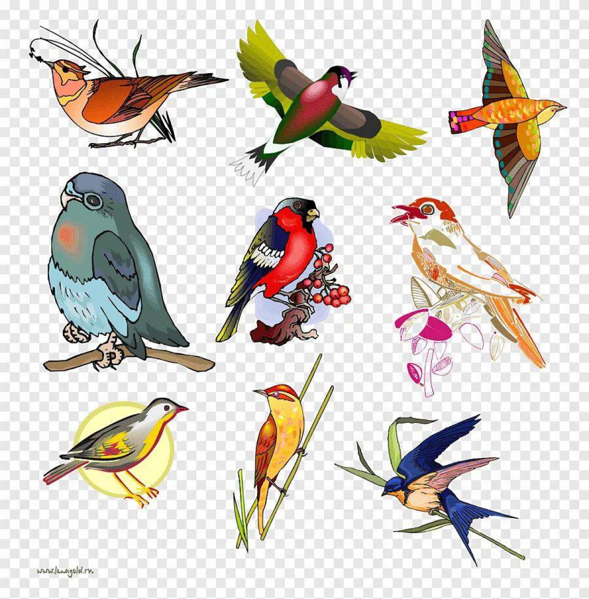 Весенние птички картинки для оформления. Птицы для детей. Много птиц на белом фоне. Разноцветные птицы для детей. Весенние птицы на белом фоне.