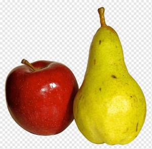 Раскраска яблоко и груша #16 #573026