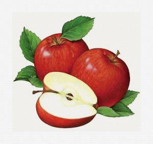 Раскраска яблоко рисунок #9 #573056