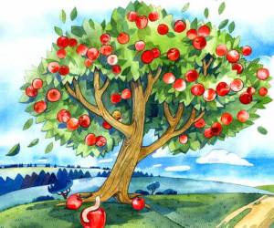 Раскраска яблоня для детей #20 #573101