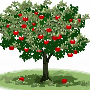 Раскраска яблоня для детей #26 #573107