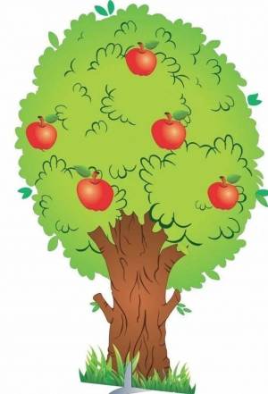 Раскраска яблоня для детей #34 #573115
