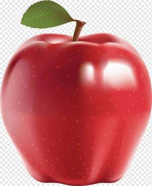 Раскраска яблочко #8 #573124