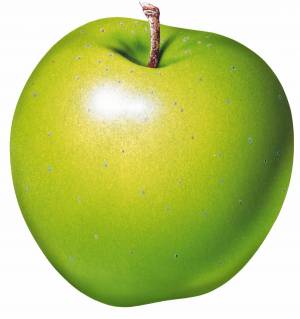 Раскраска яблочко #11 #573127