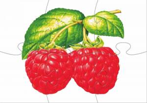 Раскраска ягоды для детей #12 #573315