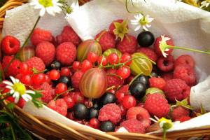 Раскраска ягоды и фрукты #28 #573357
