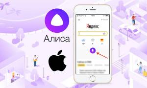 Раскраска яндекс алиса #9 #573712