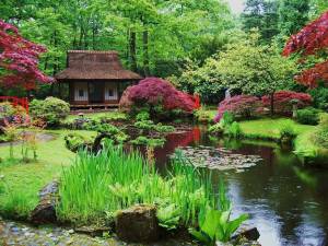 Раскраска японский сад #1 #574256