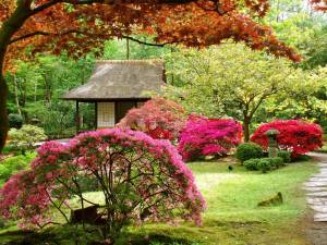 Раскраска японский сад #2 #574257