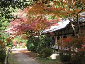 Раскраска японский сад #3 #574258