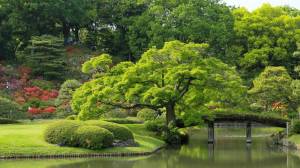 Раскраска японский сад #4 #574259