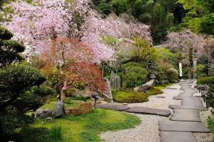 Раскраска японский сад #9 #574264