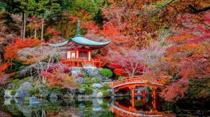 Раскраска японский сад #11 #574266
