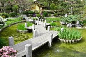 Раскраска японский сад #14 #574269