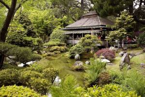 Раскраска японский сад #15 #574270