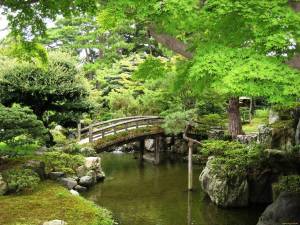 Раскраска японский сад #17 #574272