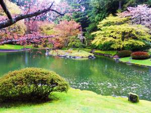 Раскраска японский сад #21 #574276