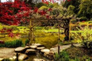Раскраска японский сад #22 #574277