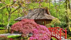 Раскраска японский сад #24 #574279