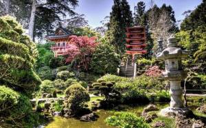 Раскраска японский сад #26 #574281