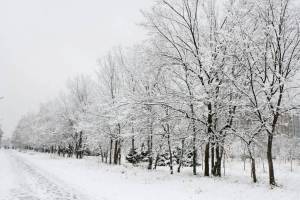 Раскраска қыс суреті #8 #574953
