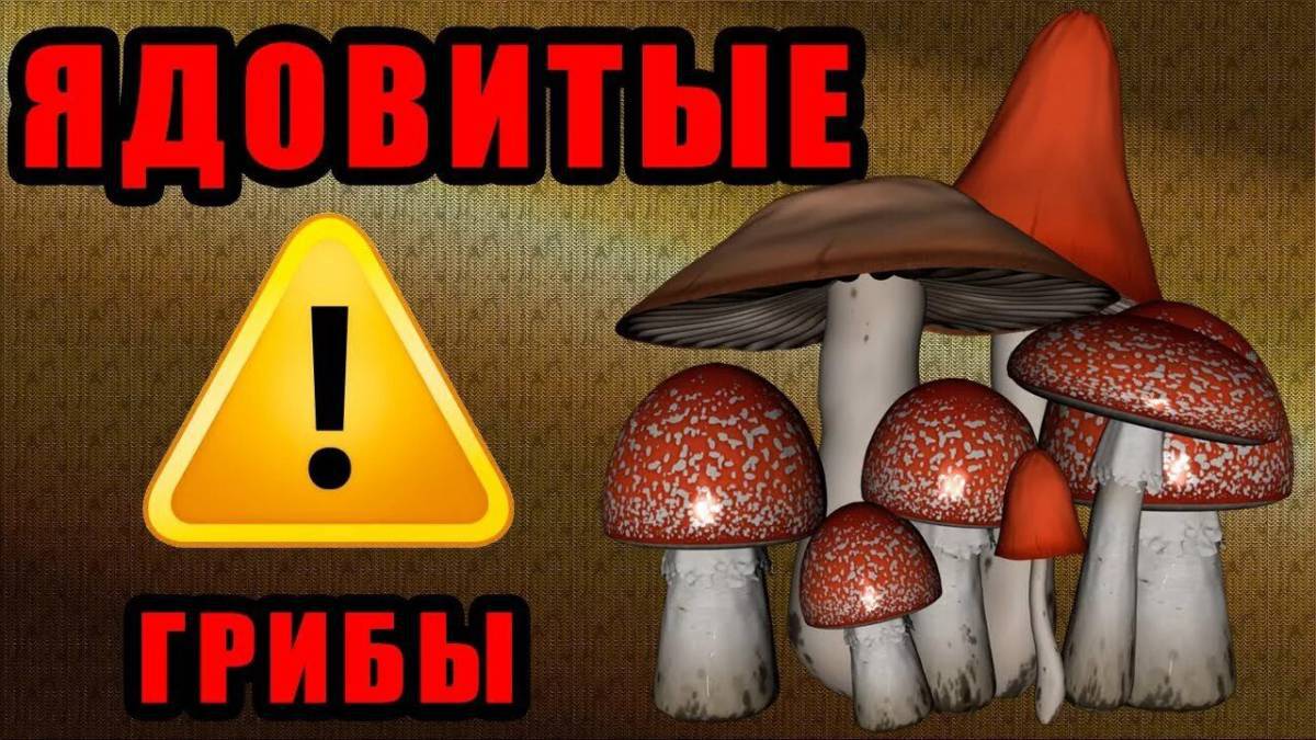Ядовитые грибы #19