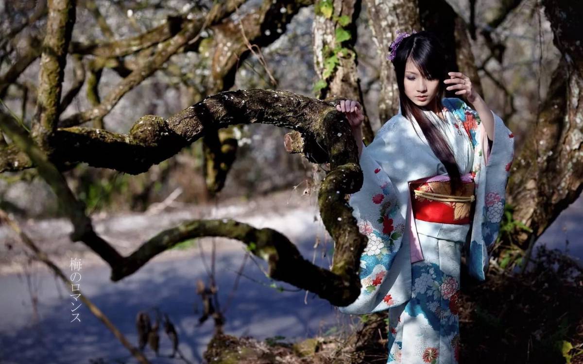 Япония кимоно #27