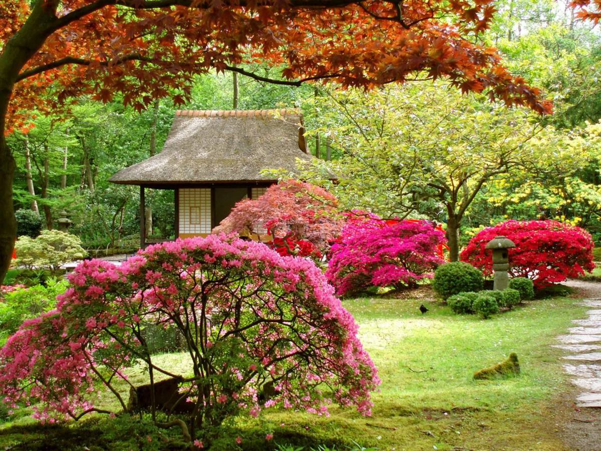Японский сад #2