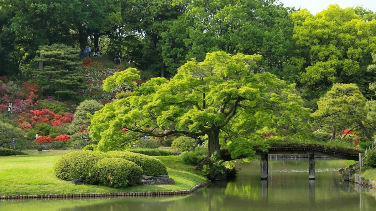 Японский сад #4
