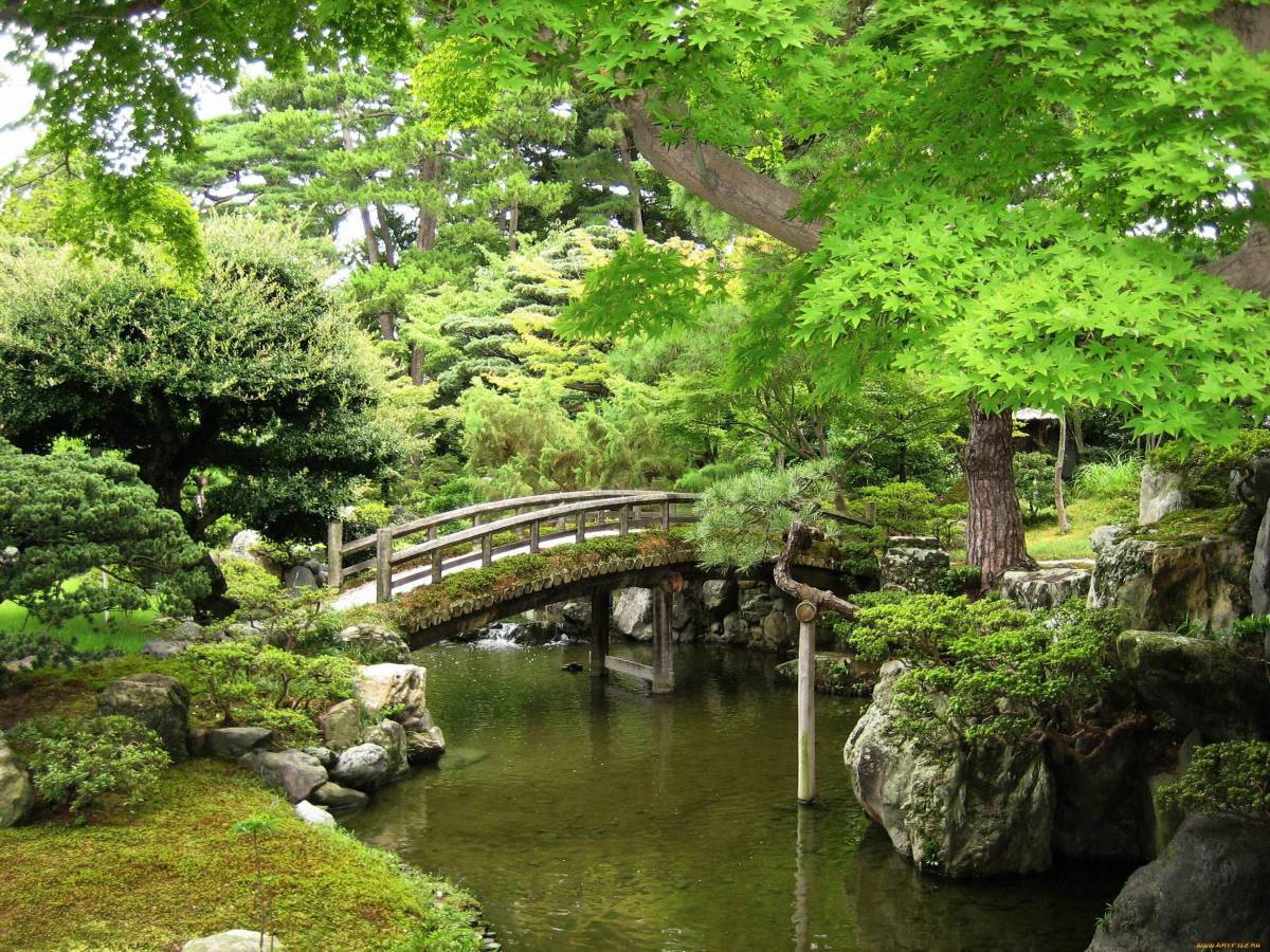 Японский сад #17