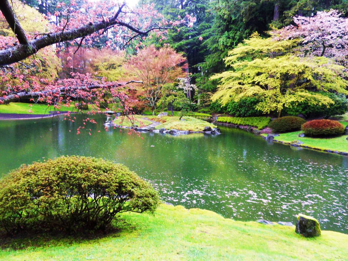 Японский сад #21