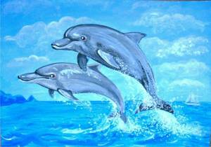 Раскраска дельфин для детей #13 #56078