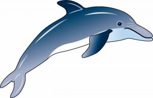 Раскраска дельфин для детей #14 #56079