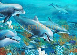 Раскраска дельфин для детей #24 #56089
