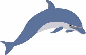 Раскраска дельфин для детей #28 #56093
