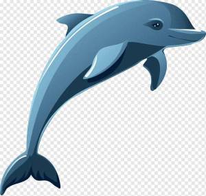 Раскраска дельфин для детей #29 #56094