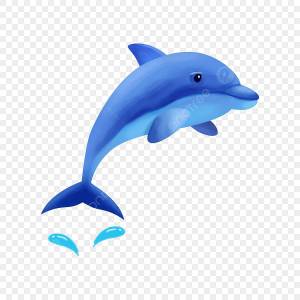 Раскраска дельфин для детей #30 #56095