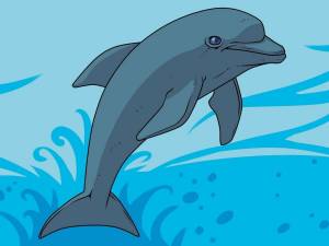 Раскраска дельфин для детей #34 #56099