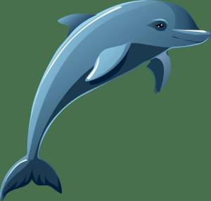 Раскраска дельфинчик #1 #56100