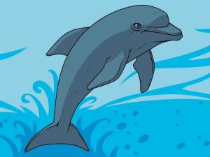 Раскраска дельфинчик #3 #56102