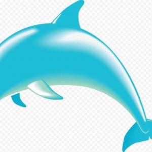 Раскраска дельфинчик #21 #56120