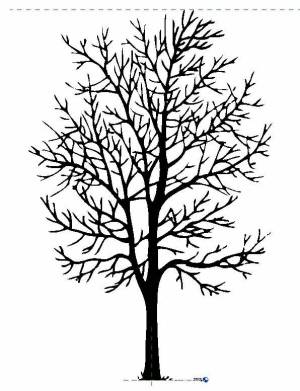 Раскраска дерево без листьев для детей #17 #56299