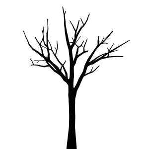 Раскраска дерево без листьев для детей #19 #56301