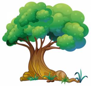 Раскраска дерево для детей #2 #56316