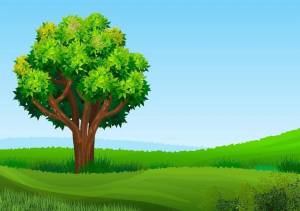 Раскраска дерево для детей #25 #56339