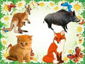 Раскраска дикие животные для детей 3 4 лет #12 #57394