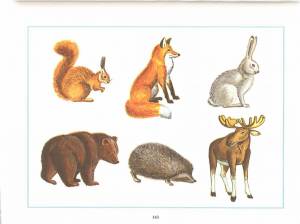 Раскраска дикие животные для детей 3 4 лет #14 #57396