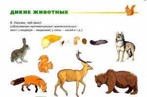 Раскраска дикие животные для детей 3 4 лет #29 #57411