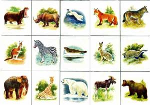 Раскраска дикие животные для детей 3 4 лет #31 #57413