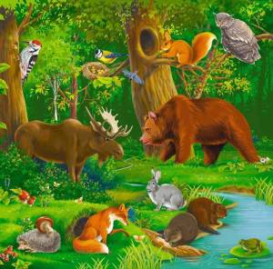 Раскраска дикие животные для детей 4 5 лет #5 #57426